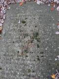 image of grave number 141315